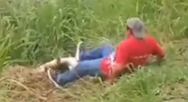 Cidadão alcoolizado encrencou com crocodilo e quase foi arrastado para a água