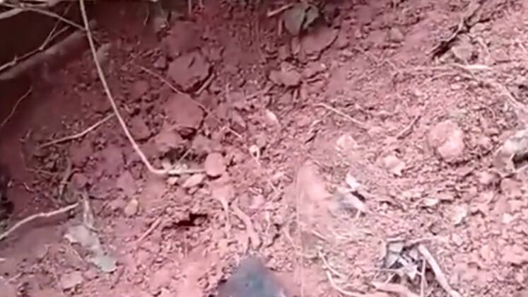 Um vizinho, que também está agindo na busca pela idosa, gravou um vídeo no mesmo local mostrando um pedaço de terra que foi recentemente virado, como se para fazer uma cova. Ele diz não ter as ferramentas necessárias para cavar e ver se haveria algo embaixo da terra 
