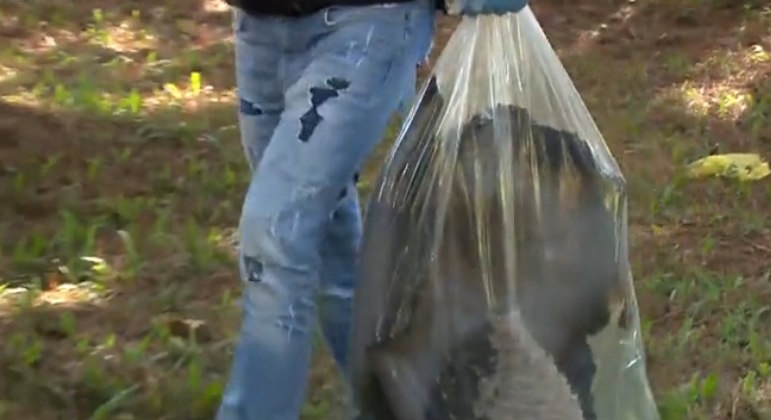 Com as novas pistas encontradas pelas autoridades, também foram
localizados cartões de crédito e a habilitação do acusado. O homem foi preso temporariamente
na última sexta (2) após apresentar contradições na história que contou