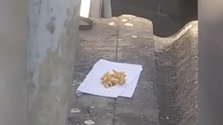 O casal acusou a vizinha com base em uma gravação, feita pelo denunciante, que mostra o pedaço de frango e batata com veneno em frente à janela de Nilzete