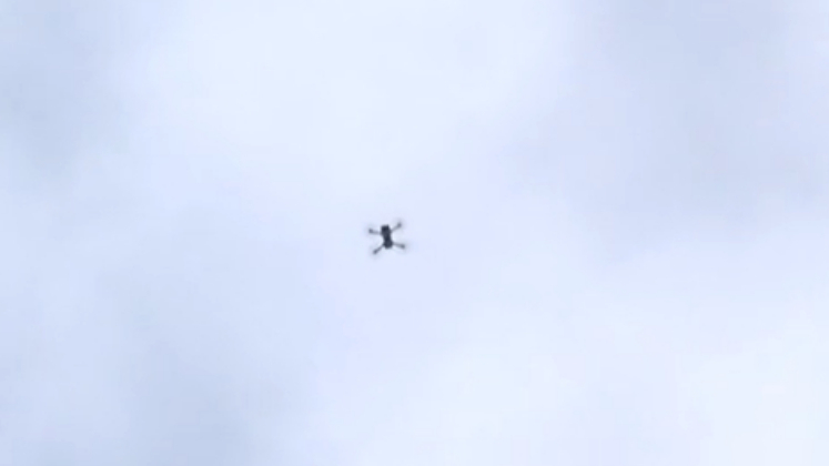 Policiais usaram drone para mapear a área e direcionar as buscas com os cães farejadores. A área tem mata nativa fechada e é de difícil acesso 