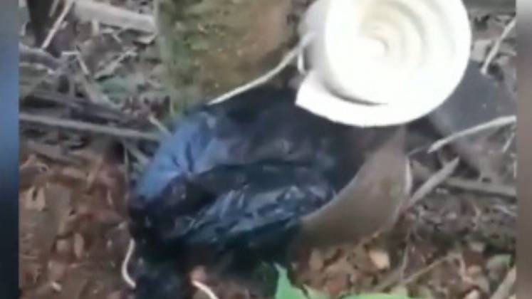 Sexta-feira, 18 de junho: No décimo dia de buscas, a polícia aumentou o cerco. Os policiais receberam a informação de que Lázaro estaria em uma fazenda próxima da região. Vestígios são encontrados na mata, entre eles, uma carta. Lázaro é visto por policiais e consegue escapar.