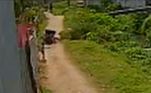 Em um certo momento, Romildo pegou uma faca e partiu para cima de Thaís, que conseguiu se esquivar. O companheiro dela tentou conter o vizinho e foi atingido por muitos golpes de faca, enquanto a criança assistia à cena