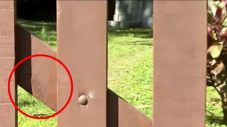 Suspeitas de manchas de sangue foram encontradas no portão do sítio mais próximo, onde Dona Maria cuidava dos cachorros na ausência da vizinha, que era sua amiga. Porém, nada foi confirmado. Além disso, nenhuma pista foi encontrada nas construções abandonadas ao longo da estrada sem calçamento que rodeia a casa 