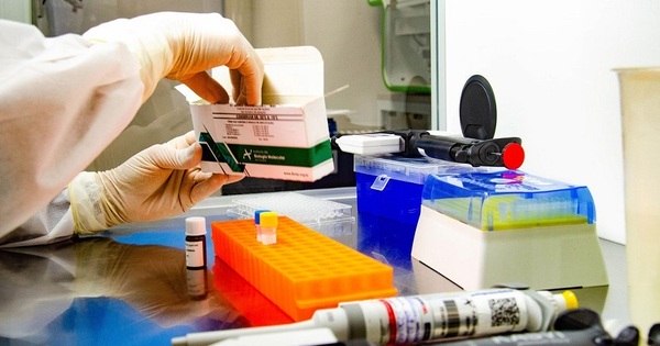 Dezenove pesquisadores brasileiros estão entre os mais citados em 2020 – Notícias