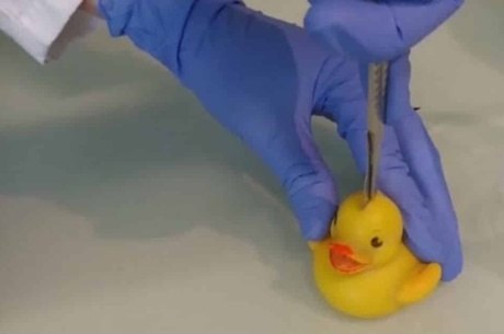 Cientistas descobrem bactéria mortal dentro de patinhos de borracha