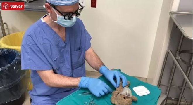 O neurocirurgião Daniel McNeely opera Little Baby, que usa máscara de oxigênio