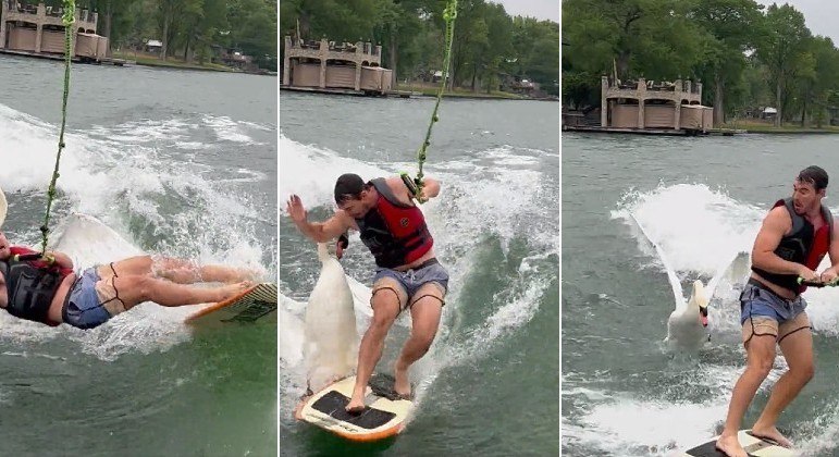 Cisne afrontoso atacou e derrubou praticante de wakeboard em lago nos EUA