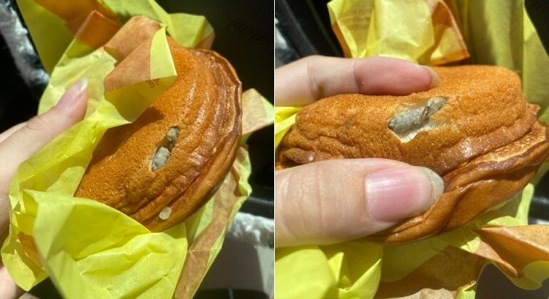 Cliente publicou foto de cheesebúrguer do McDonald's com larva no meio do pão