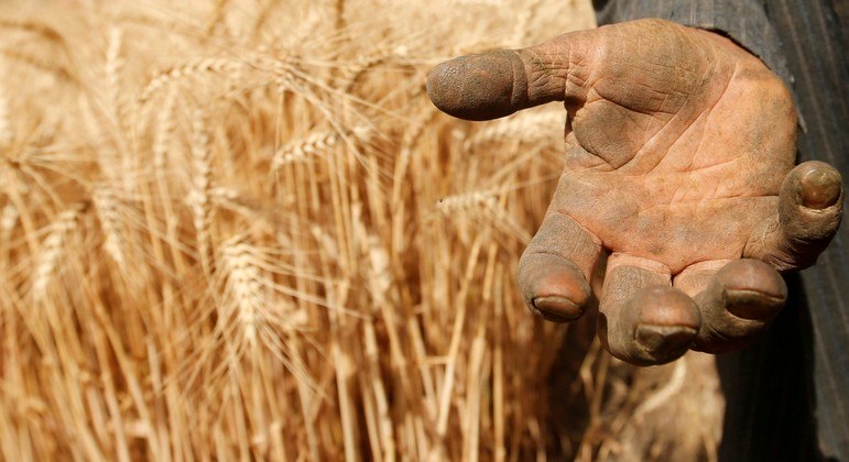 Clima que prejudicou plantações e alta demanda da China impulsionaram preços no mundo