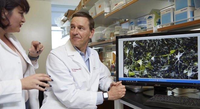 Clive Svendsen, o líder do estudo, e a pesquisadora Nur Yucer conversam sobre imagem microscópica de neurônios produtores de dopamina 