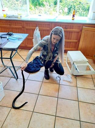 Quem atendeu ao chamado foi Kate Downing, resgatadora de cobras do grupo North West Snake CatchersNÃO PERCA: Planeta Maluco: imagens estranhas de um mundo já em clima de Natal