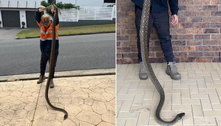 Cobra de mais de 3 metros é encontrada morando em teto de banheiro e impressiona internautas