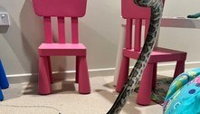 Pesadelo: criança acorda com mordida de cobra que estava enrolada no corpo dela
