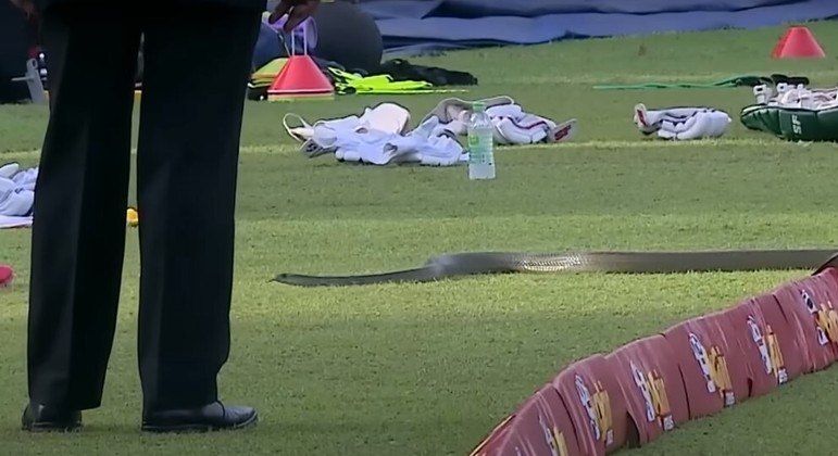 Uma cobra invadiu o campo e interrompeu o jogo disputado no Sri Lanka