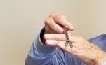 Lá, descobriu que cobras com duas cabeças são raríssimas: ocorrem uma vez a cada 100 mil nascimentos. No entanto, a presença de dois cérebros no mesmo corpo dificulta a sobrevivência desses animais, que lutam até para se locomoverem