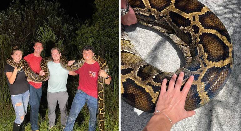 Animal imenso foi capturado na Flórida