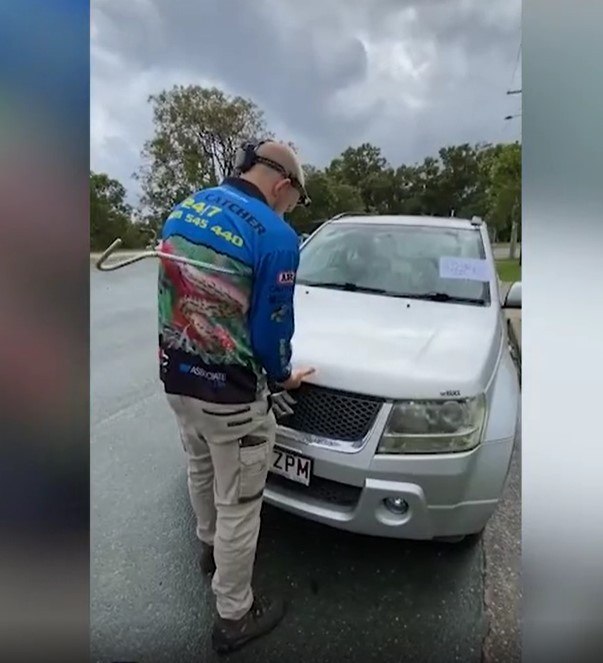 Mãe acorda com choro de bebê atacado por rato gigante e canibal - Fotos -  R7 Hora 7