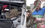 Uma australiana da região de Sunshine Coast ficou apavorada ao ver em seu carro quatro bilhetes que alertavam para a presença de uma cobra em seu carro!