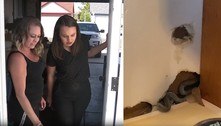 Mulher compra casa dos sonhos e descobre infestação de cobras nas paredes: 'Medo de dormir'