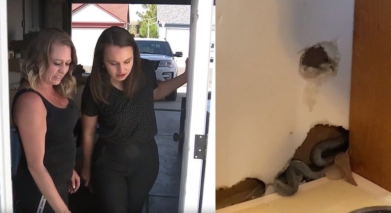 Amber j&aacute; encontrou 10 cobras nas paredes da casa