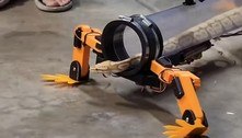 Inventor desenvolve robô que permite que cobras 'andem'