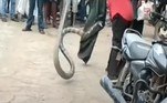 Por esse motivo, o resgate deve ser feito por um profissional credenciado no assuntoVale o clique: Barraco na festa! Marido prova que bebê não é dele e aponta o amante