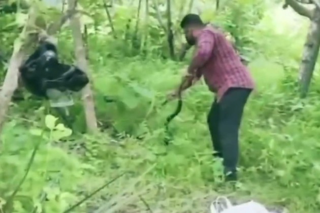 Após ser dominada, ela foi examinada e liberada em uma floresta próximaVale o clique: Ave enorme é flagrada em pleno voo com suposto tubarão nas garras