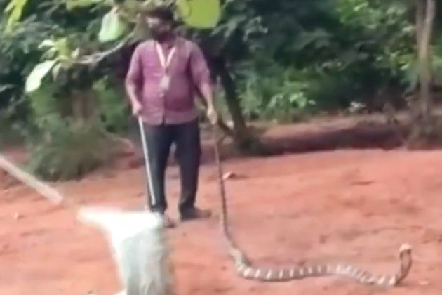 Que enviou dois profissionais para conduziren a operação de salvamentoBombou no HORA 7! 'Monstrinho' encontrado em bosque choca a web enquanto se alimenta