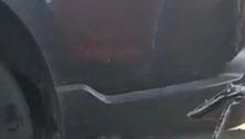 Vídeo: cobra fica presa em suspensão de carro e é resgatada por bombeiros no DF