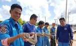 cobra Tailândia
