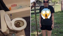Mulher distraída urina sobre cobra escondida em vaso sanitário 