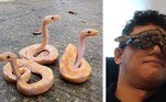 A comunidade /r/Snek, do Reddit, é como qualquer lugar nicho comum da web: cheio de fãs, um tanto excêntricos, com um belo mural de fotos e discussões sobre temas que o resto da humanidade não se importa. No caso, cobras. O grupo ali é capaz de fotos artísticas de cobras, ao ponto de retirar o medo desses bichos com umas poucas scrolladas