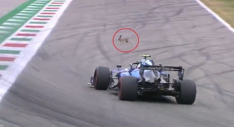 Coelho invadiu pista de Monza e escapou por um triz de ser atropelado
