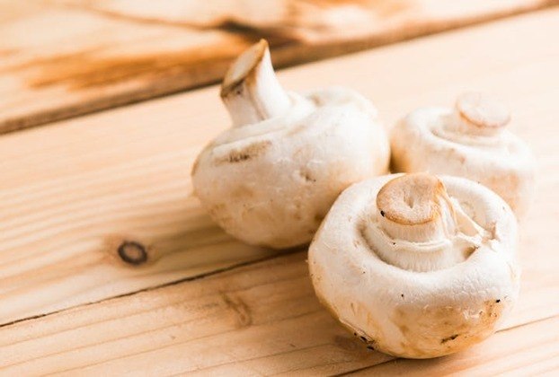 Cogumelos, apreciados por sua textura única e sabor terroso, são fungos – às vezes comestíveis – que oferecem uma variedade de benefícios para a saúde.