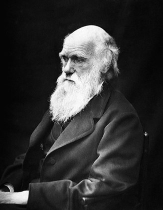 Coincidentemente, o nascimento de Darwin também foi num dia 12 de fevereiro (em 1809). O naturalista, biólogo e geólogo britânico foi o grande estudioso da rica fauna das Ilhas Galápagos. 