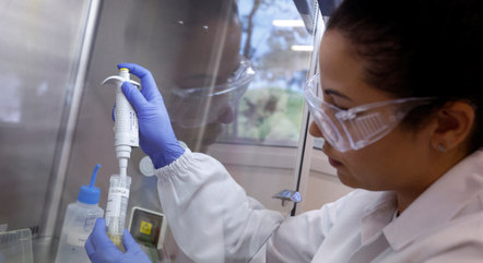 Brasil intensificou meio de detecção da gripe aviária