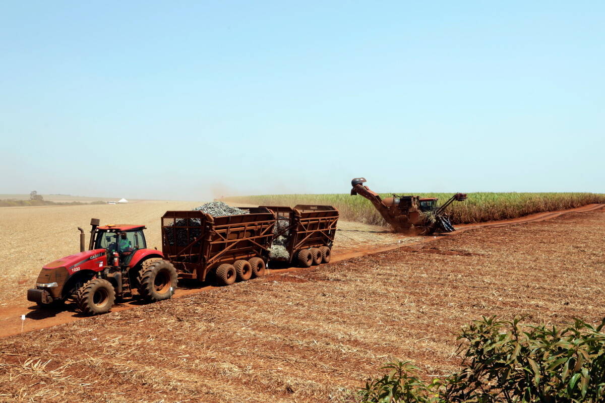 PIB do Brasil deverá crescer 3,2% em 2023, estima OCDE