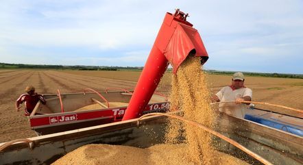 Soja é um dos principais produtos vendidos pelo Brasil