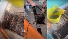 Mel escorre de paredes, e casal descobre que casa foi transformada em colmeia gigante