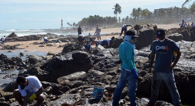 Com Farol de Itapuã ao fundo, voluntários trabalham na limpeza do óleo em Salvador