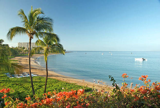 Com uma população de mais de 1,4 milhão de pessoas, o Havaí é um destino turístico popular, conhecido por suas belas praias, clima tropical e cultura única.