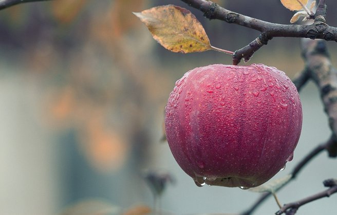 Coma maçã: a fruta tem ação adstringente, ou seja, ajuda a limpar a garganta, tirando rouquidão e sensação de pigarro. 