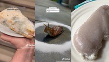 É tudo bolo: artista enoja seguidores com vídeos comendo pão mofado, lesma e insetos