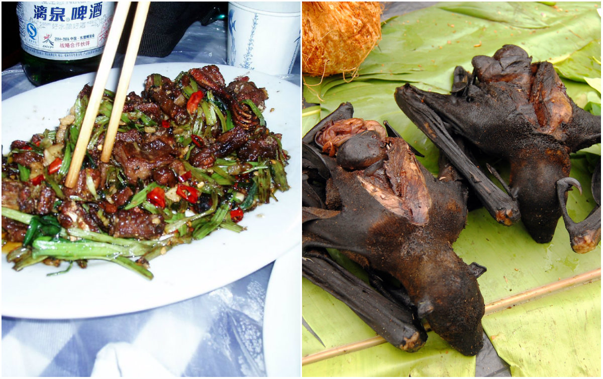 Ratos, cães e morcegos: conheça os pratos mais estranhos da China ...