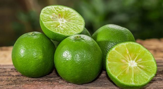 Como acabar com carrapatos - dicas de prevenção e tratamento