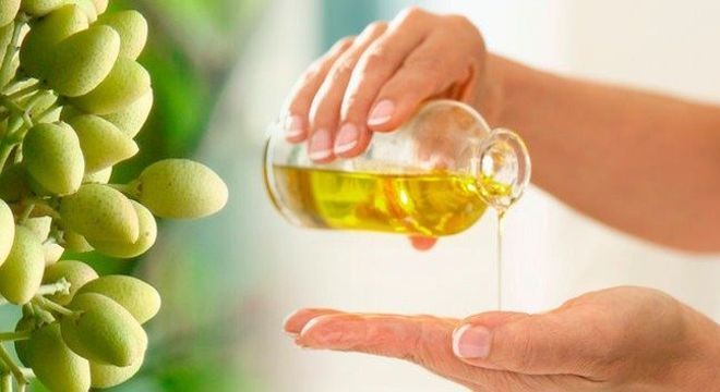 Como acabar com carrapatos - dicas de prevenção e tratamento