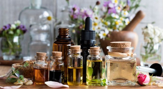 Como acabar com carrapatos - dicas de prevenção e tratamento