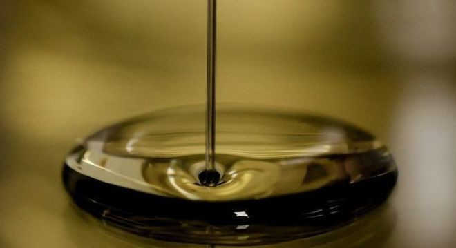 Como acabar com cupim - soluções caseiras para eliminar as pragas