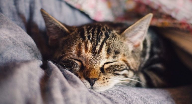 Como aliviar o estresse? 8 dicas para transformar o seu estado de espírito